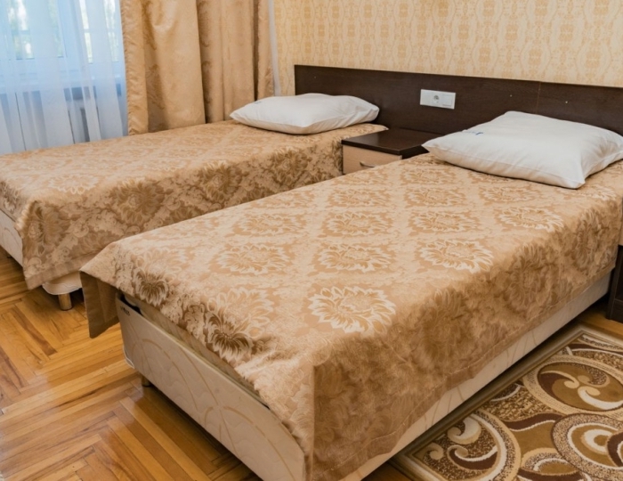 Стандартный 2-местный 2 категория 1-комнатный корп.1 - Санаторий «Дубрава» Железноводск