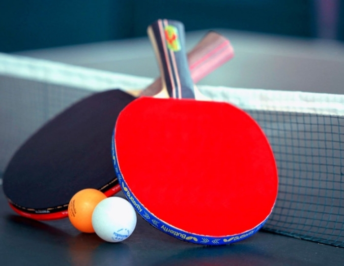 Настольный теннис - Санаторий «Дубрава» Железноводск